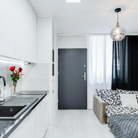 Crystal Apartment Katowice IV Eksteriør bilde